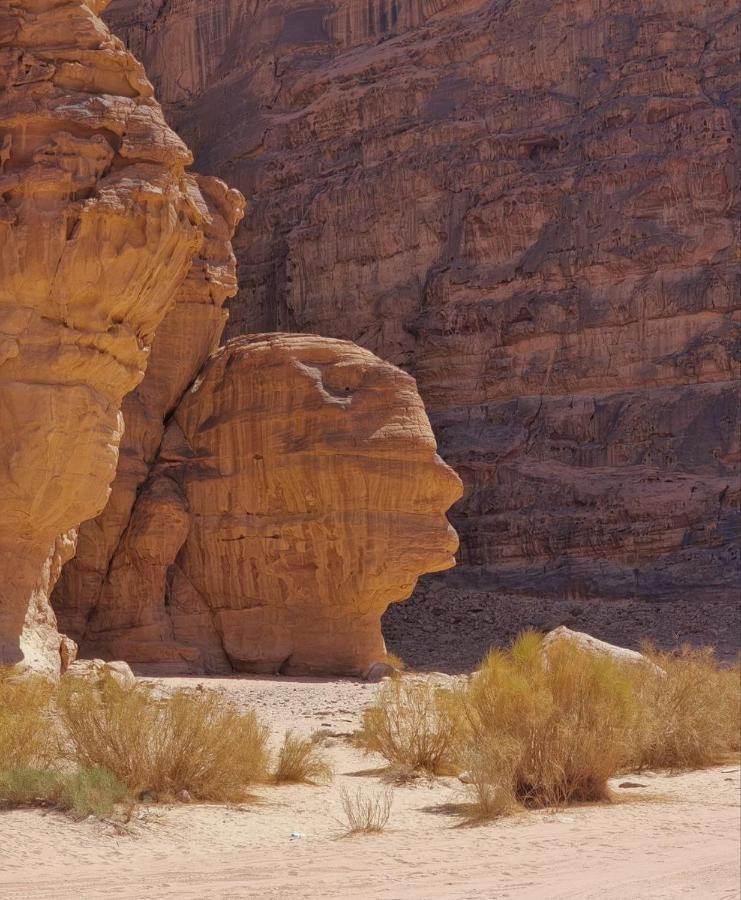 فندق Amanda Luxury Camp وادي رم المظهر الخارجي الصورة
