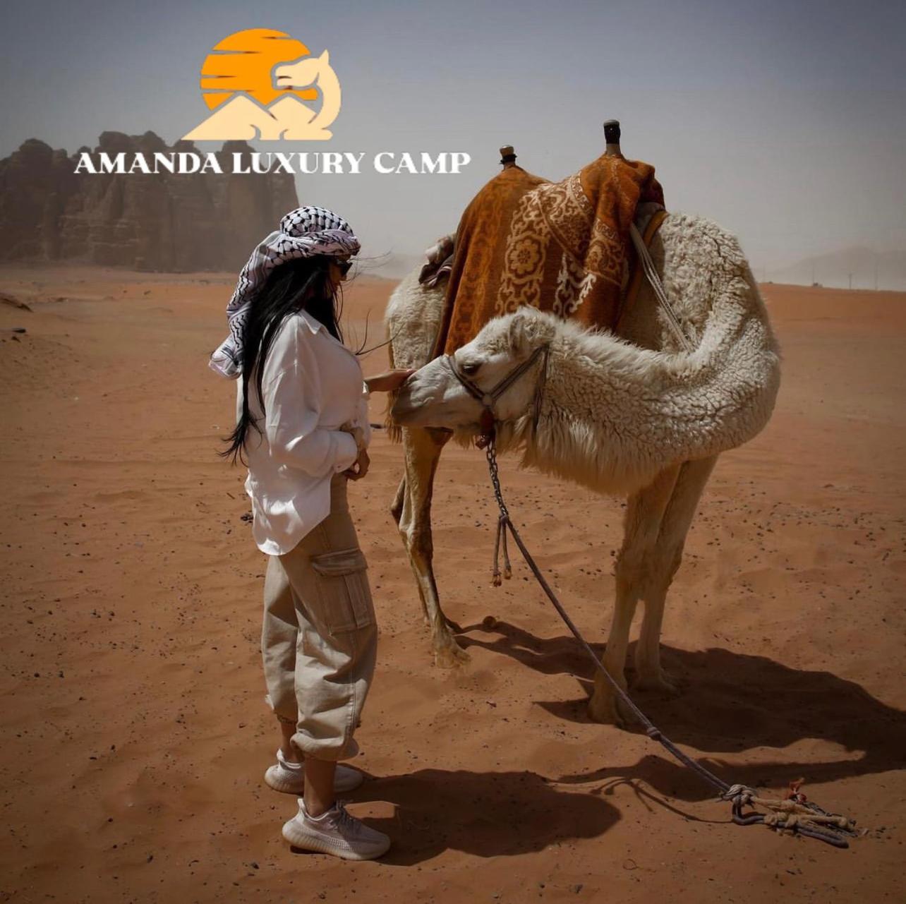 فندق Amanda Luxury Camp وادي رم المظهر الخارجي الصورة